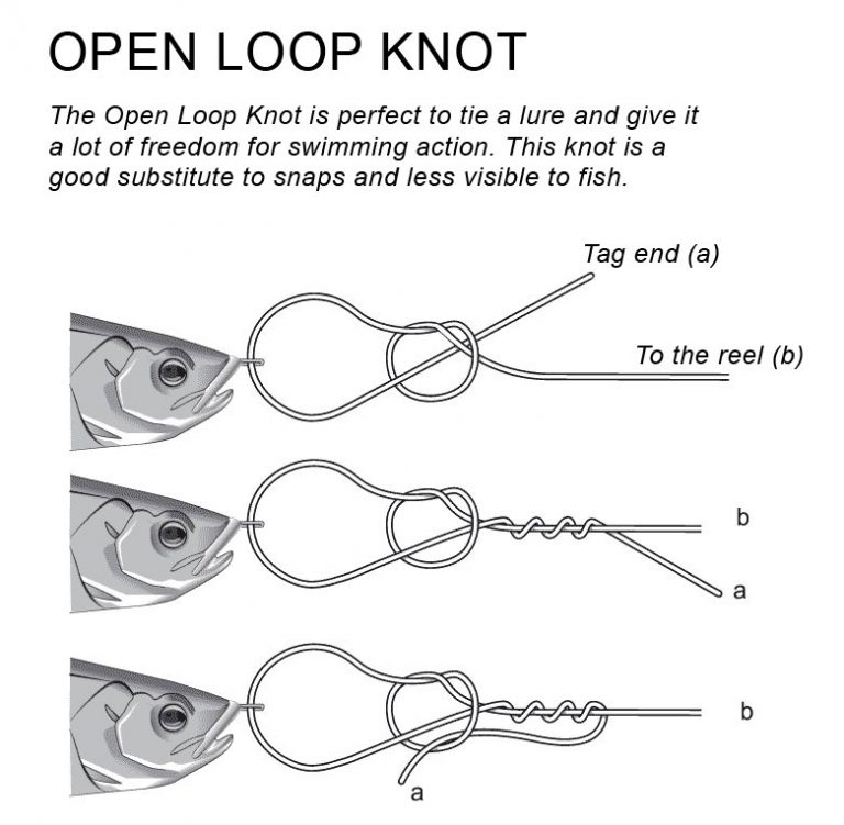 Best Fishing Knot For Light Line at Jacob Phipps blog